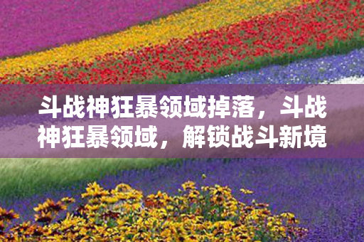 斗战神狂暴领域掉落图片