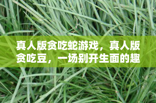 一场别开生面的趣味挑战图片