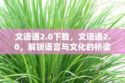 解锁语言与文化的桥梁图片