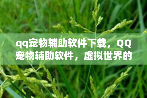 qq宠物辅助软件下载图片