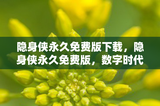 隐身侠永久免费版下载图片