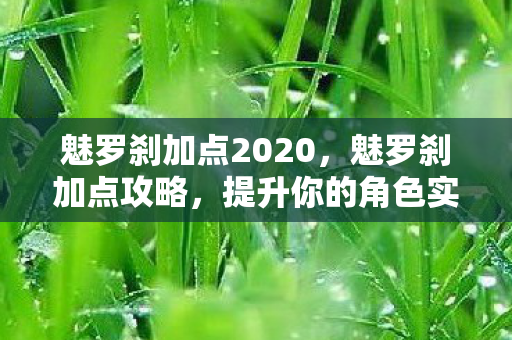 魅罗刹加点2020，魅罗刹加点攻略，提升你的角色实力