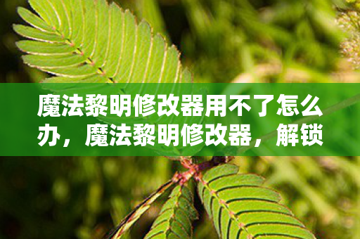 魔法黎明修改器用不了怎么办图片