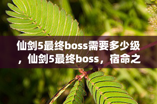仙剑5最终boss需要多少级图片