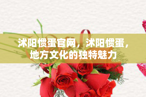 沭阳惯蛋官网，沭阳惯蛋，地方文化的独特魅力