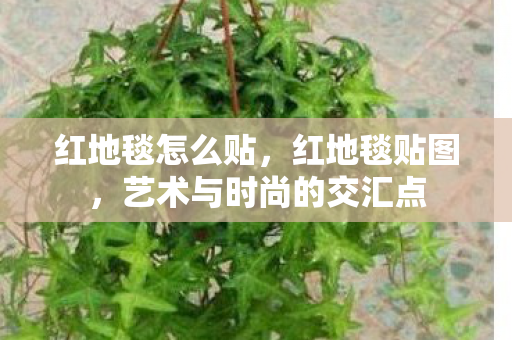 红地毯怎么贴，红地毯贴图，艺术与时尚的交汇点