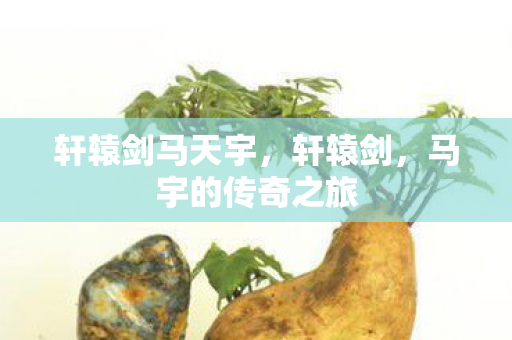 马宇的传奇之旅图片