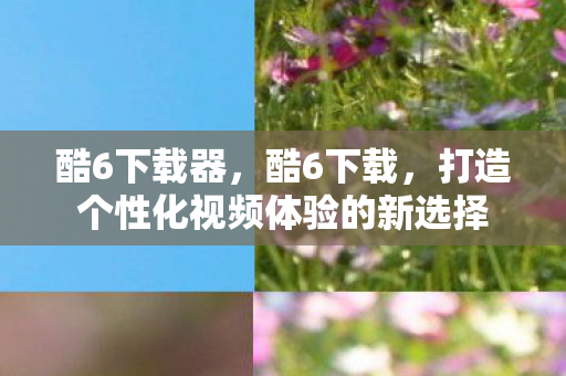 酷6下载器，酷6下载，打造个性化视频体验的新选择