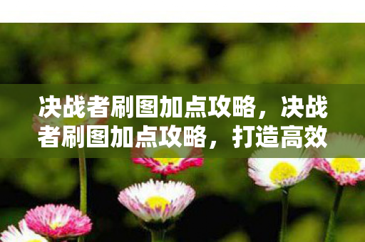 决战者刷图加点攻略，决战者刷图加点攻略，打造高效战斗体验