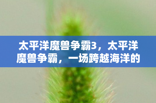 太平洋魔兽争霸3，太平洋魔兽争霸，一场跨越海洋的电竞盛宴