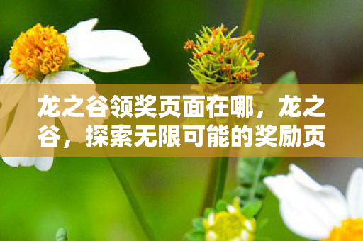 探索无限可能的奖励页面图片