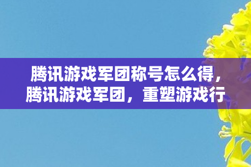 腾讯游戏军团称号怎么得图片