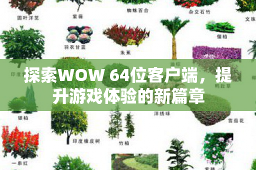 探索WOW 64位客户端，提升游戏体验的新篇章