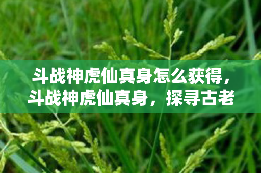 斗战神虎仙真身怎么获得，斗战神虎仙真身，探寻古老神话中的神秘存在