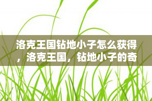 洛克王国钻地小子怎么获得，洛克王国，钻地小子的奇妙探险