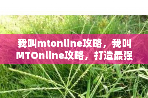 我叫mtonline攻略图片