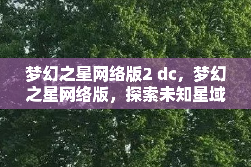 梦幻之星网络版2 dc图片