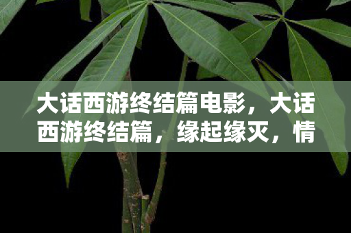 大话西游终结篇电影图片