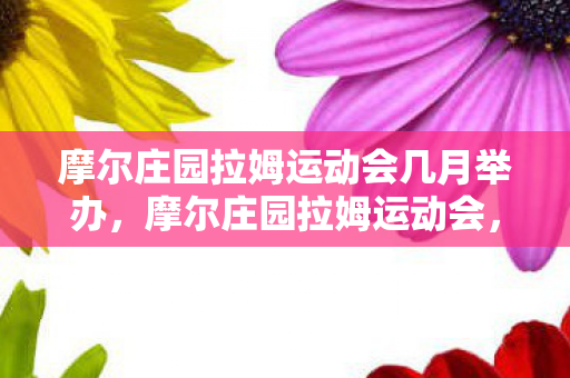 摩尔庄园拉姆运动会几月举办图片