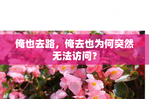 俺也去路，俺去也为何突然无法访问？