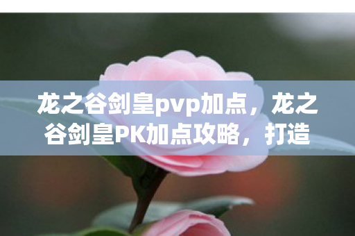 龙之谷剑皇pvp加点，龙之谷剑皇PK加点攻略，打造无敌剑舞