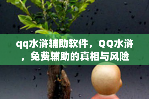 免费辅助的真相与风险图片