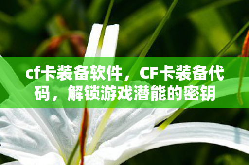 解锁游戏潜能的密钥图片