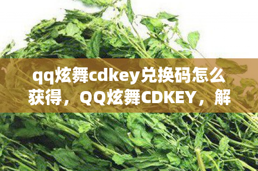 qq炫舞cdkey兑换码怎么获得，QQ炫舞CDKEY，解锁你的音乐舞蹈之旅