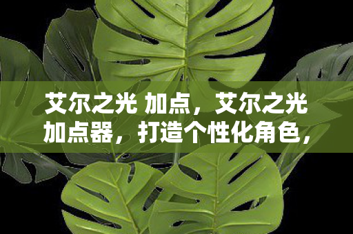 艾尔之光 加点，艾尔之光加点器，打造个性化角色，提升游戏体验