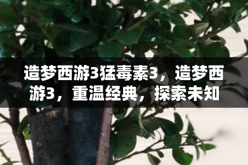 造梦西游3猛毒素3，造梦西游3，重温经典，探索未知