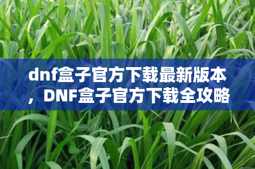 dnf盒子官方下载最新版本，DNF盒子官方下载全攻略，安全、便捷获取游戏资源