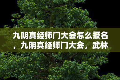 九阴真经师门大会怎么报名，九阴真经师门大会，武林中的荣耀与传承