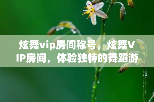 炫舞vip房间称号，炫舞VIP房间，体验独特的舞蹈游戏特权