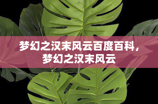 梦幻之汉末风云百度百科，梦幻之汉末风云