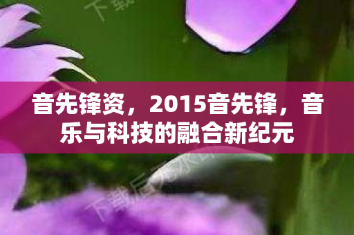 音先锋资，2015音先锋，音乐与科技的融合新纪元