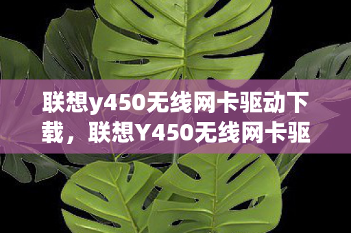 联想y450无线网卡驱动下载，联想Y450无线网卡驱动安装与常见问题解决方案