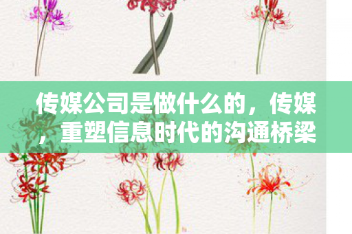 传媒公司是做什么的，传媒，重塑信息时代的沟通桥梁