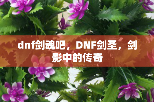 dnf剑魂吧，DNF剑圣，剑影中的传奇
