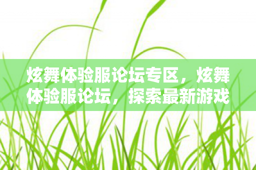 炫舞体验服论坛专区，炫舞体验服论坛，探索最新游戏世界，与玩家共舞