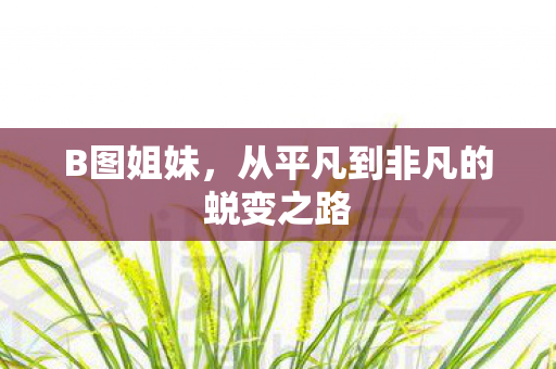 B图姐妹，从平凡到非凡的蜕变之路