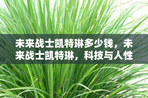 未来战士凯特琳多少钱图片