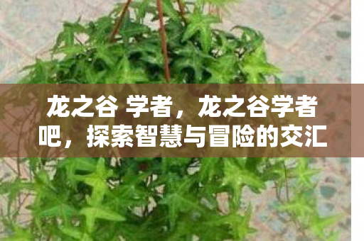 探索智慧与冒险的交汇点图片