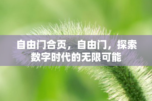 探索数字时代的无限可能图片