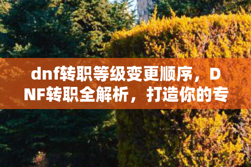 dnf转职等级变更顺序图片