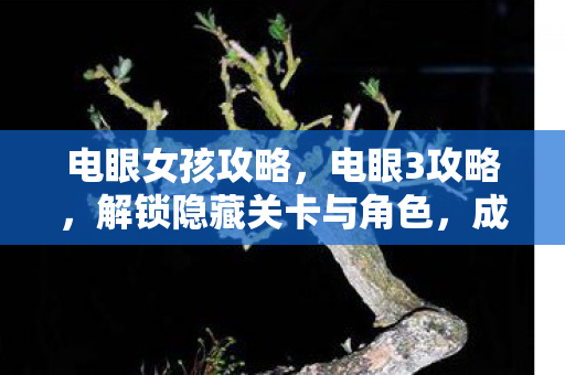 解锁隐藏关卡与角色图片