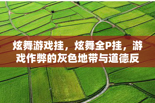 游戏作弊的灰色地带与道德反思图片