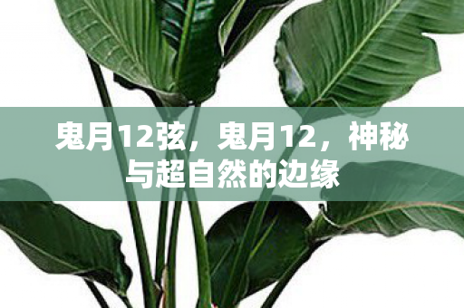 神秘与超自然的边缘图片