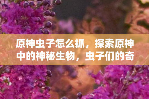 探索原神中的神秘生物图片