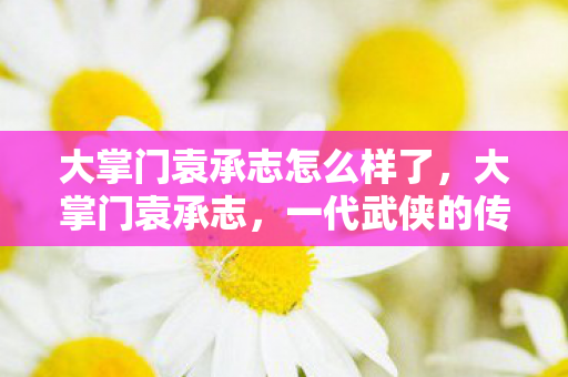 大掌门袁承志怎么样了图片