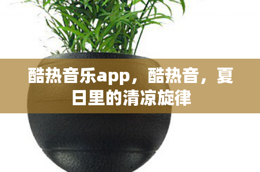 夏日里的清凉旋律图片